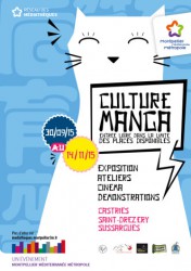 Culture manga