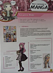 Exposition Mieux comprendre le manga