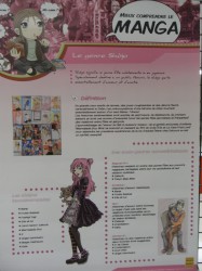 Exposition Mieux comprendre le manga