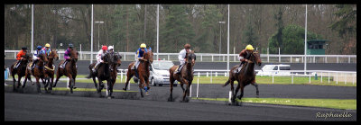 Course vincennes