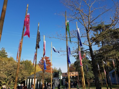 Le Grand Matsuri au jardin d'acclimatation