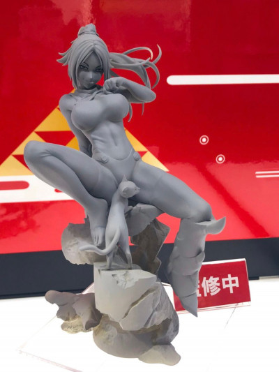 Wonfes 2020 Winter