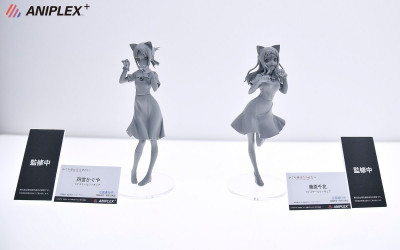 Wonfes 2020 Winter