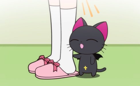 Nyanpire The Animation