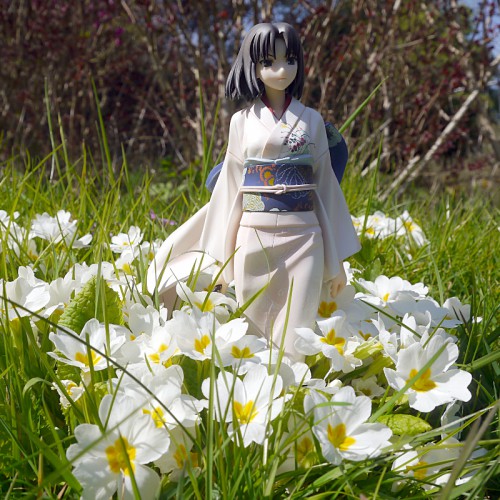 Shiki Ryougi
Good Smile Company / Kara no Kyoukai
